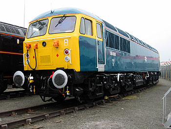 56006fleet